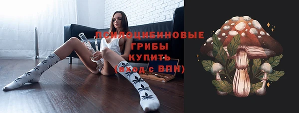 герыч Алексин