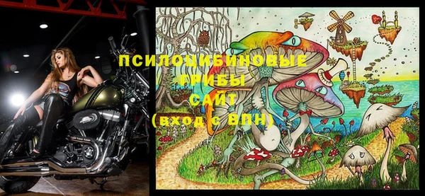 MESCALINE Алзамай